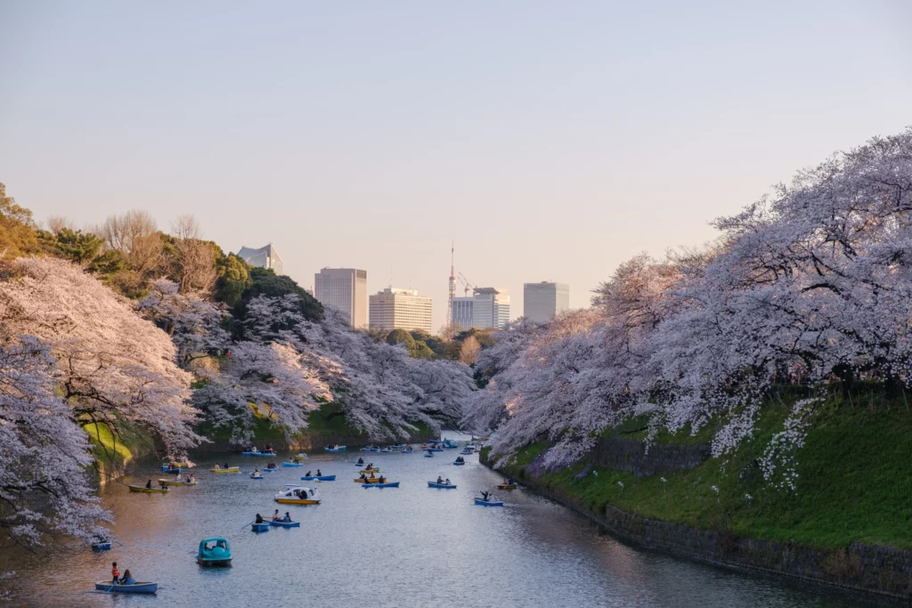 2025 最新日本移民指南！6 大簽證類型＋永住歸化申請一次看懂！日本小檔案